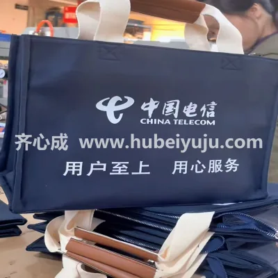 中国电信帆布包样品